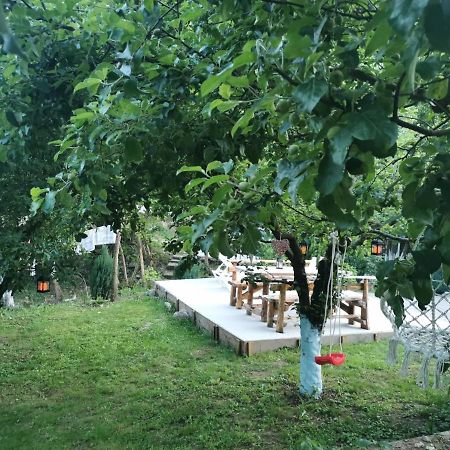 Casa Noastra 호텔 Orşova 외부 사진