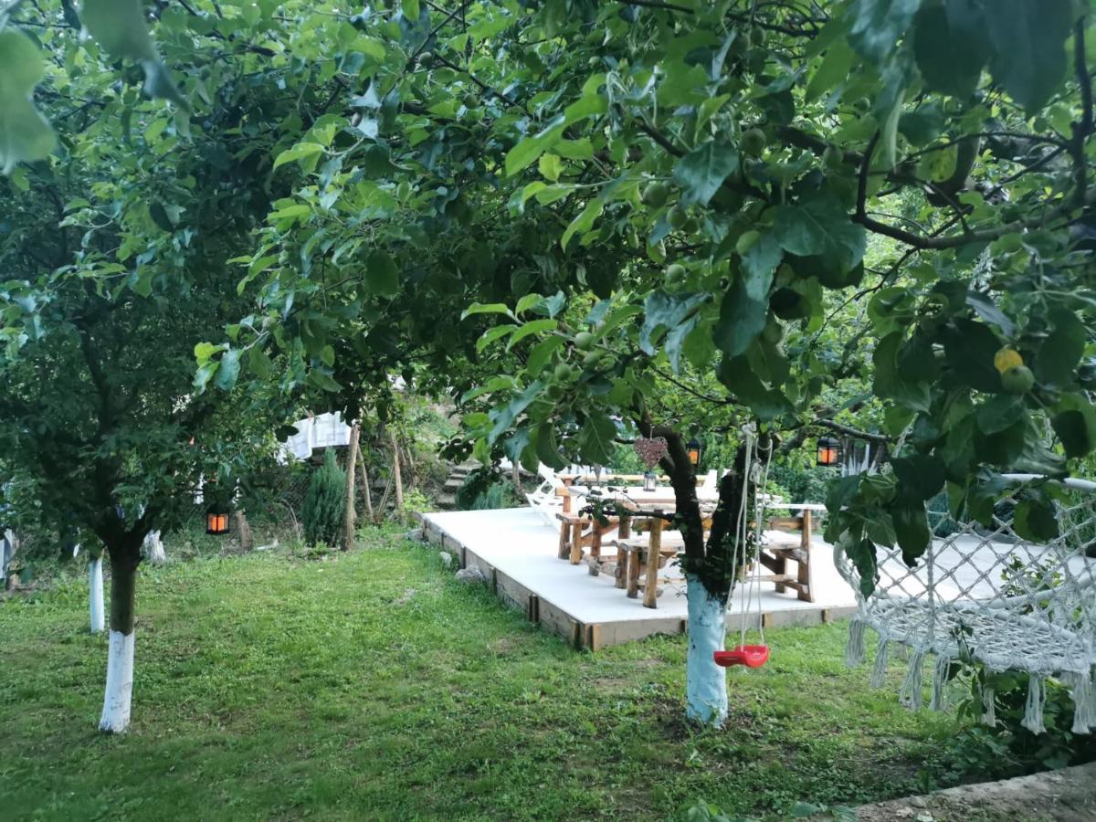 Casa Noastra 호텔 Orşova 외부 사진